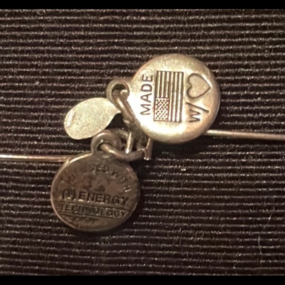 Barely worn Alex and Ani +Energy series adjustable bracelet. Blue and silver - Picture 5 of 7